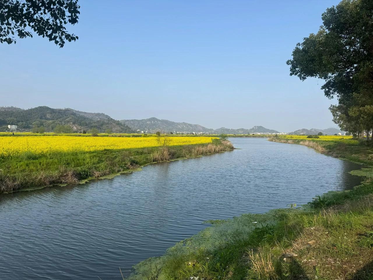 于晓非老师回忆他的老师当年所教止观法门，呼息存想。每吸一口气，都思“苍生苦难尽归