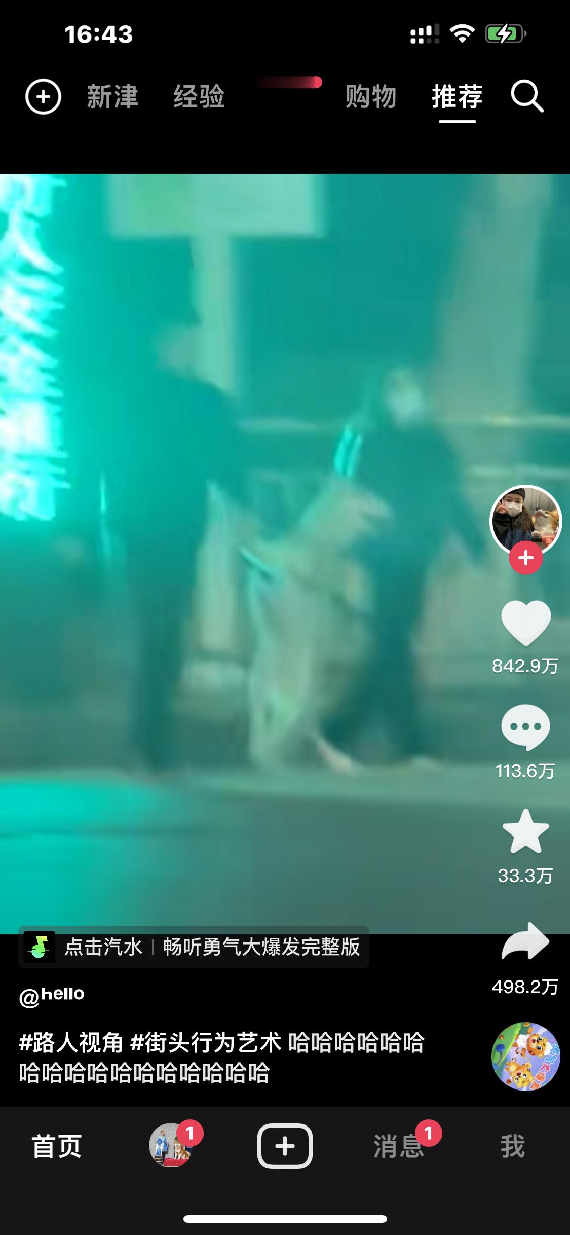 上头接连刷到三只这样牵着过马路的 两边牧一哈士奇也有科普的，迎来了一堆骂 太上头