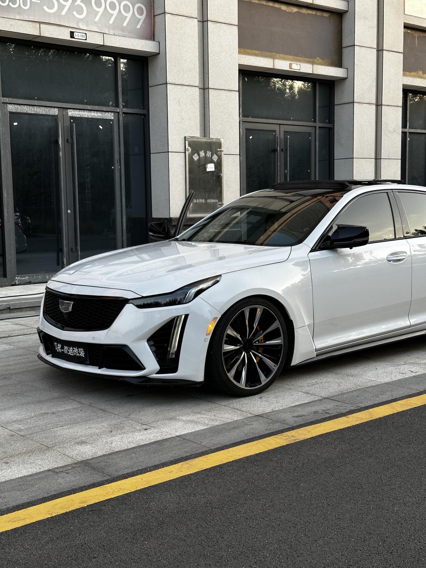 随手一拍，黑白配你能说他没有感觉吗？