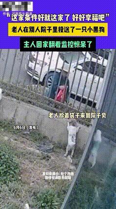 幸福来的太突然！浙江，一老人往别人家院中投送一只小黑狗，主人回家被院中一幕惊呆了