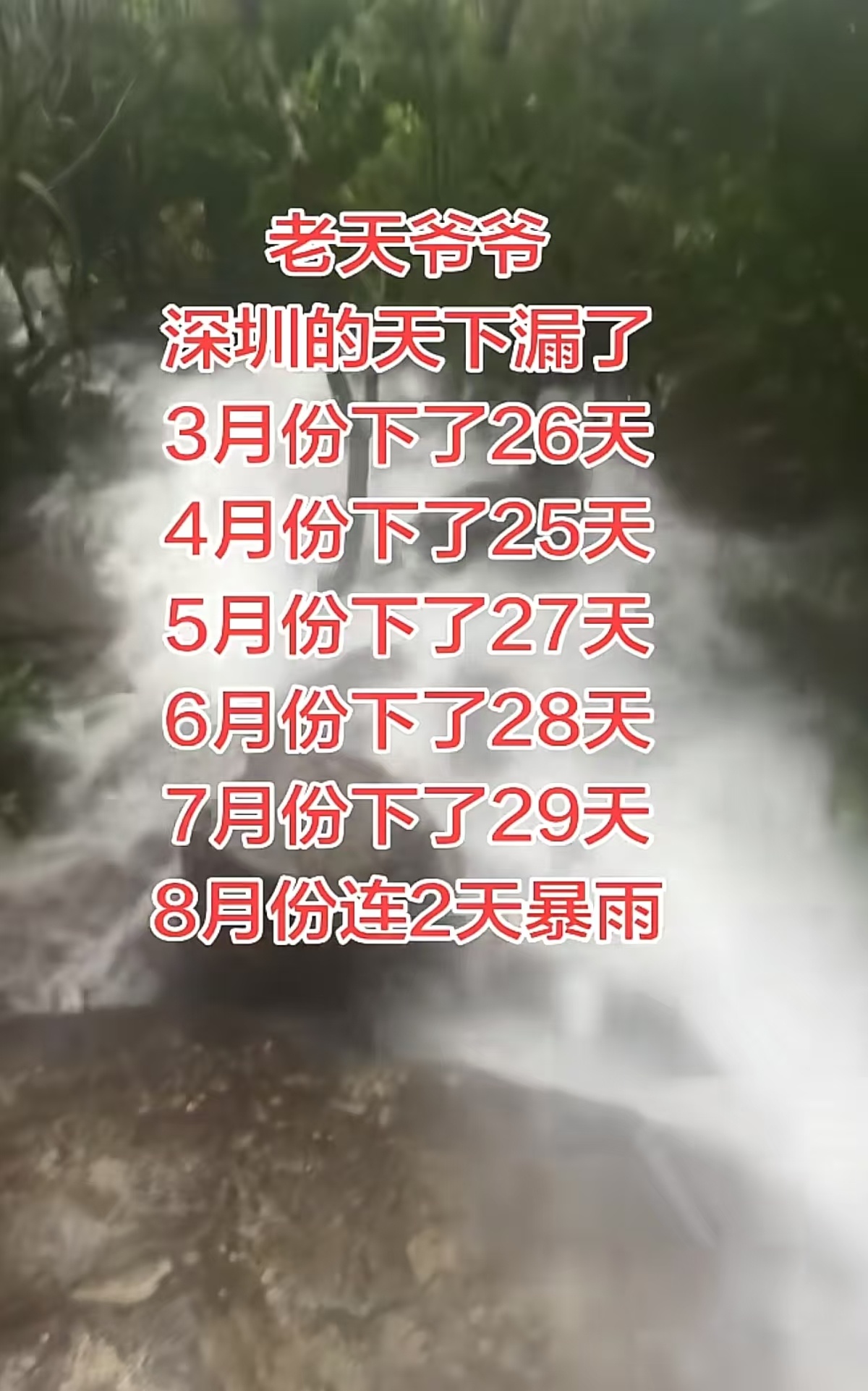 今年的深圳最适合失恋的你几乎每天都有比依萍问她爹要钱还大的雨 