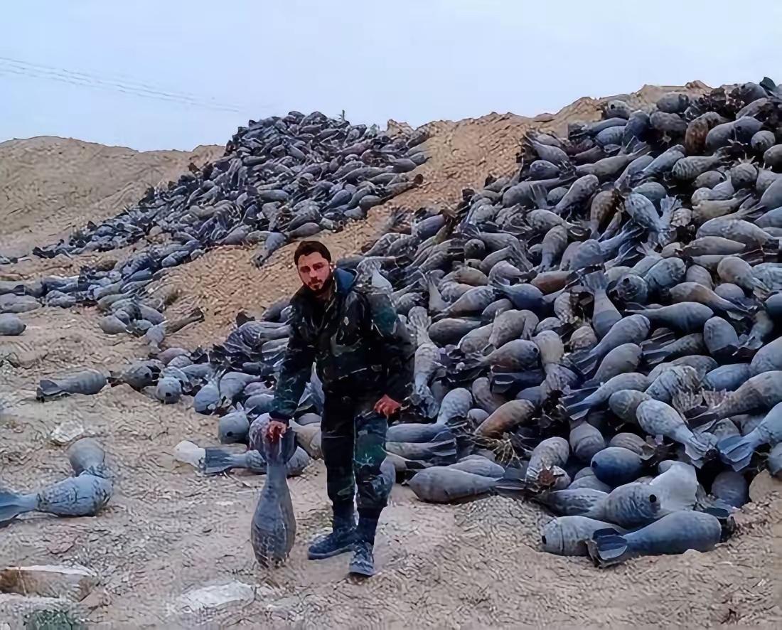 乌克兰人民值得同情吗？

看着4300万人口锐减到3400万，家乡变焦土、子弟成