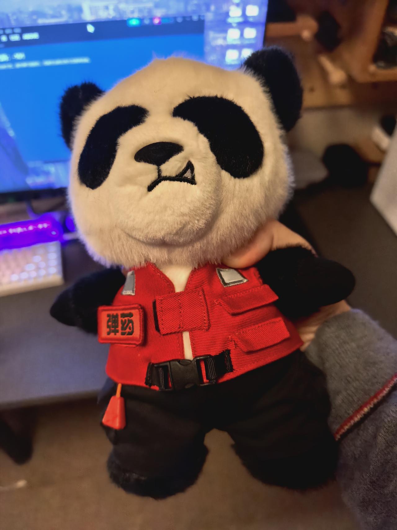 带我去看新加坡航展。[强][强][强]