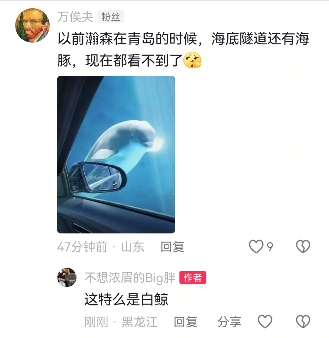 分享图片 ​​​