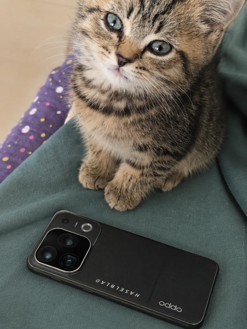 OPPO Find X10真机泄露！长这样好看吗？

没想到这一次Find X1