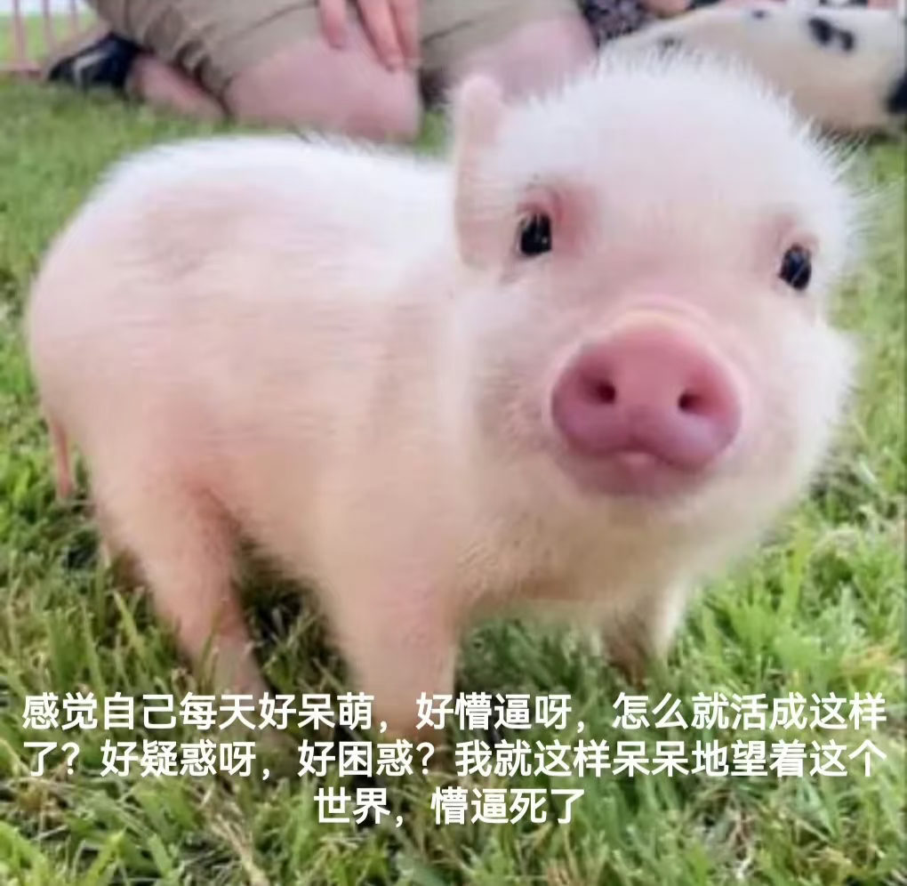 DeepSeek不打卡也不加班哈哈DeppSeek还经常罢工呢 