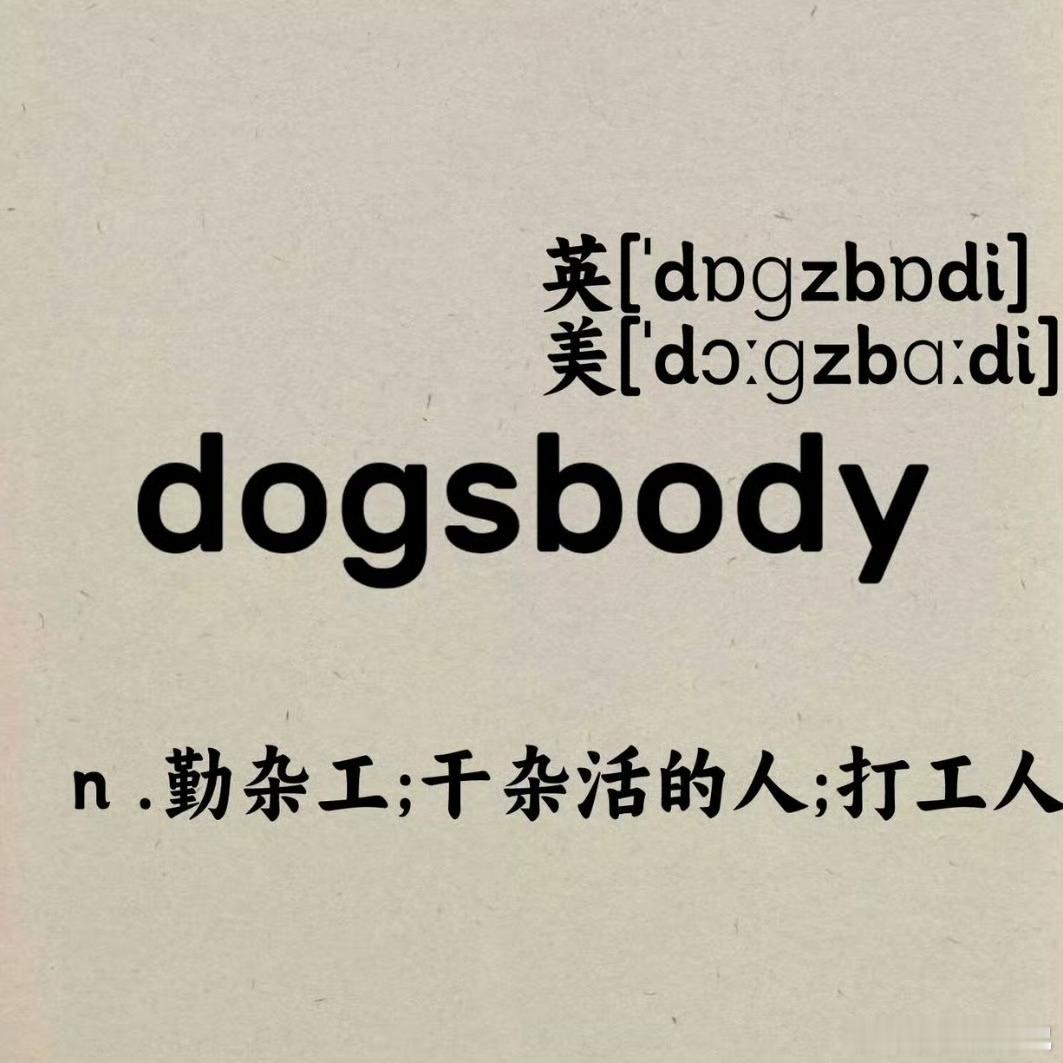 打工人三秒钟就可以记住的单词——dogsbody打工人 dogsbody ​​​