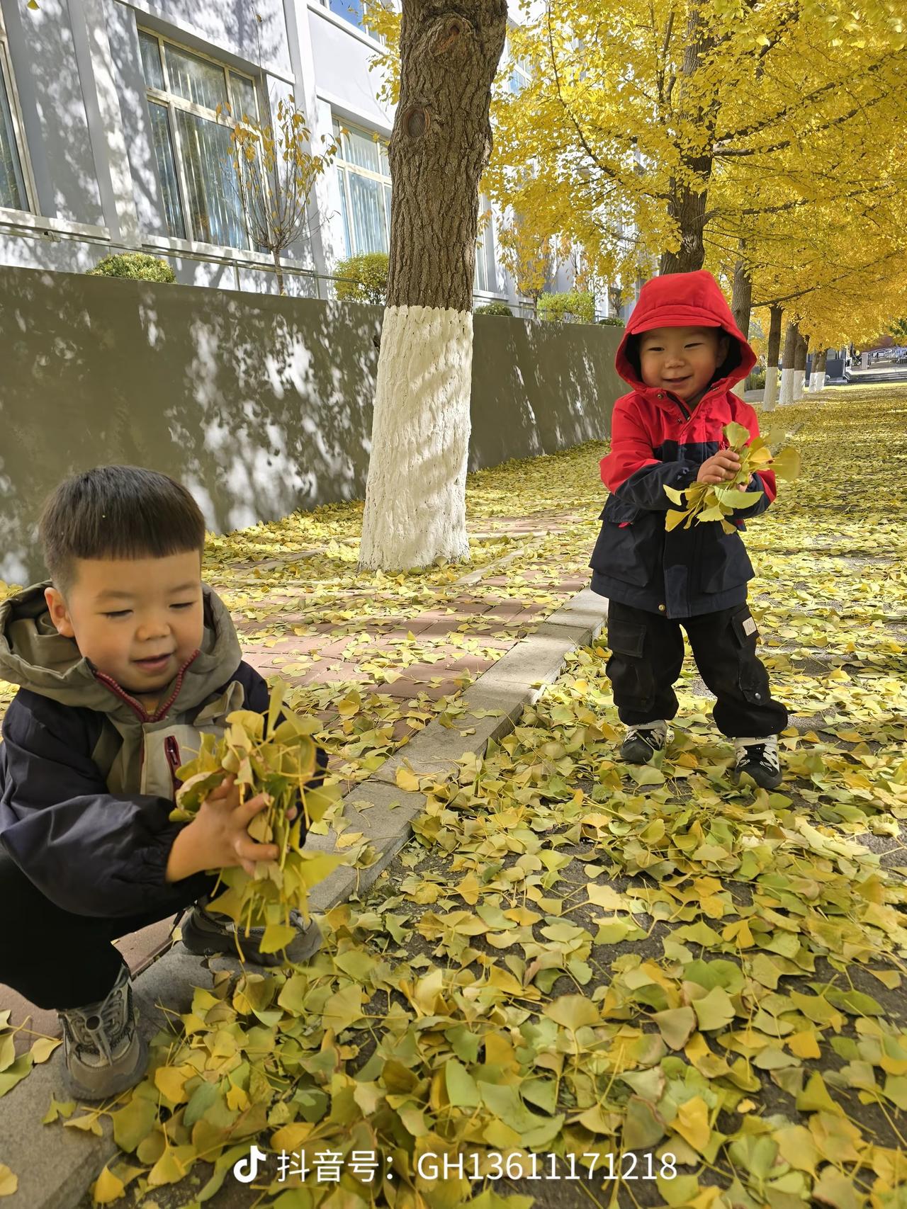 秋日童趣：两个孩子在落叶中玩耍，暖阳洒满心间。