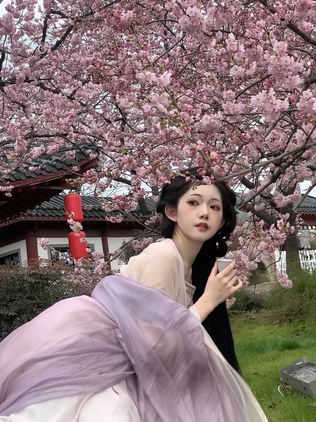 是谁还没拍到武汉东湖的早樱！！！｜附攻略