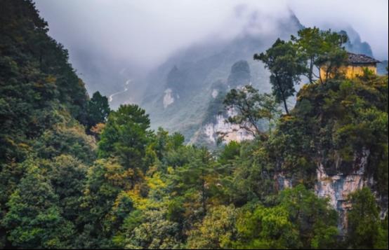 为什么禁止进入神农架深处？一位60多岁的巡山员告诉我：别看神农架拥有大量高等植物