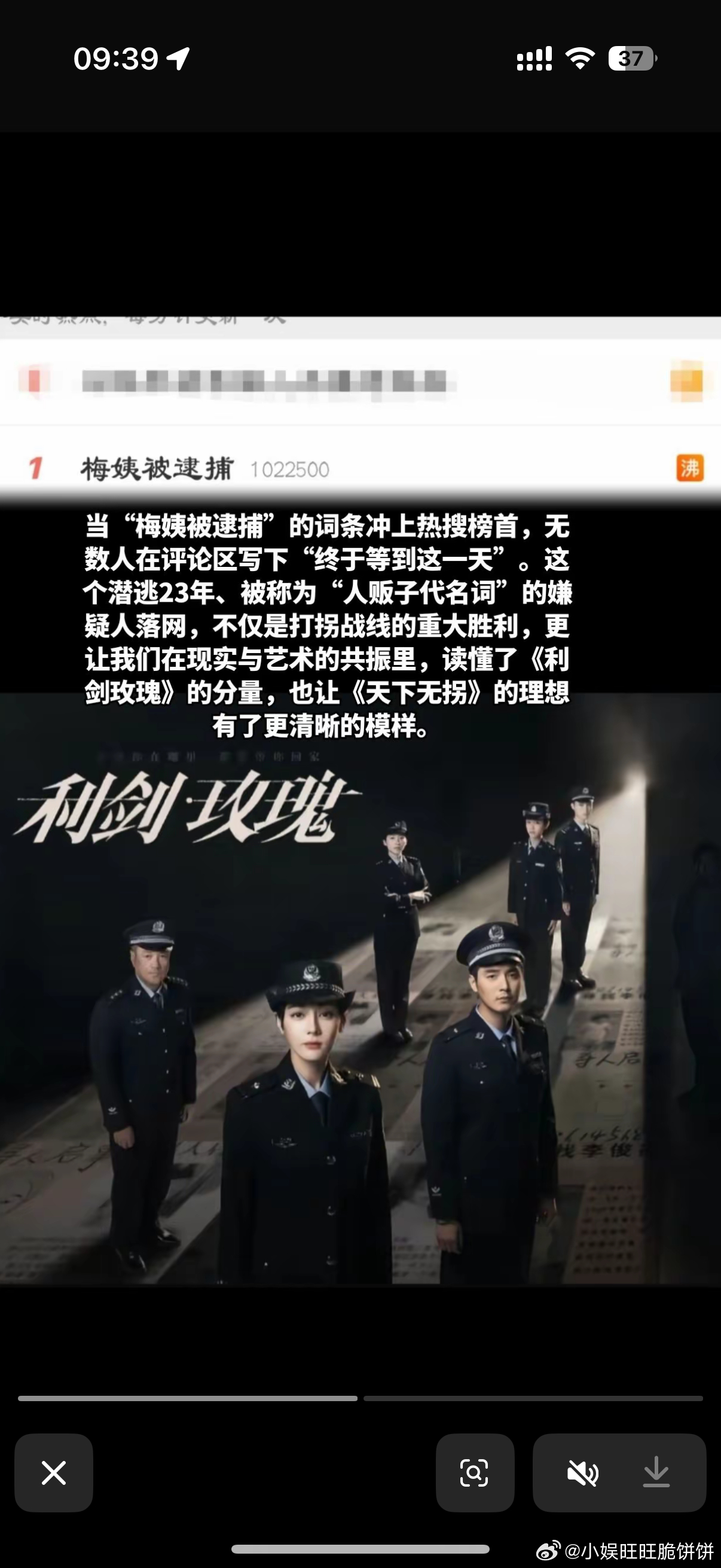 利剑玫瑰有效播放 