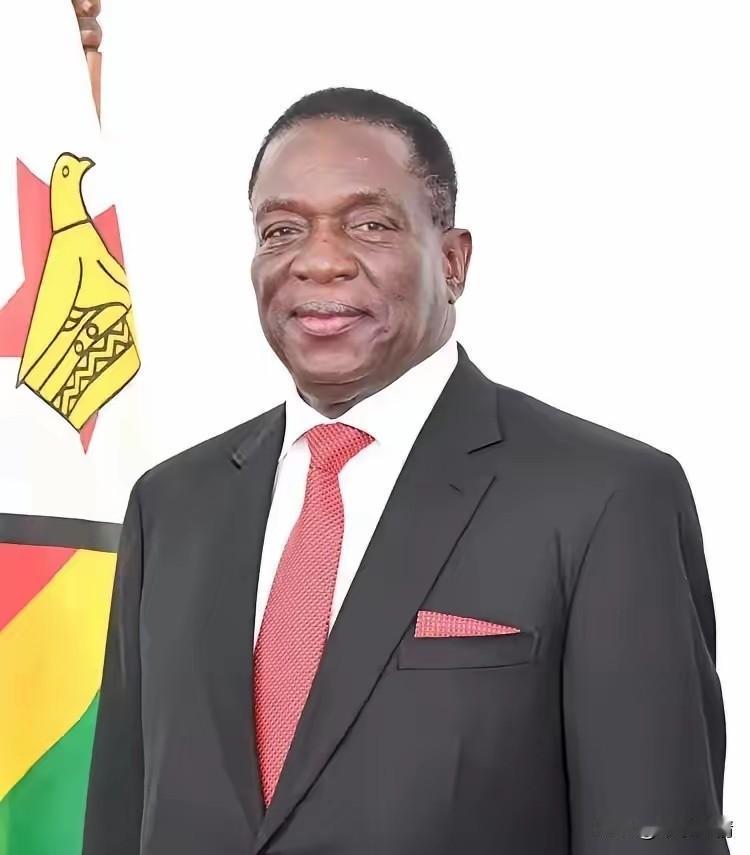 前脚巴拿马不顾中方反对，强行接管了巴拿马港口，后脚津巴布韦突然宣布暂停锂矿出口。