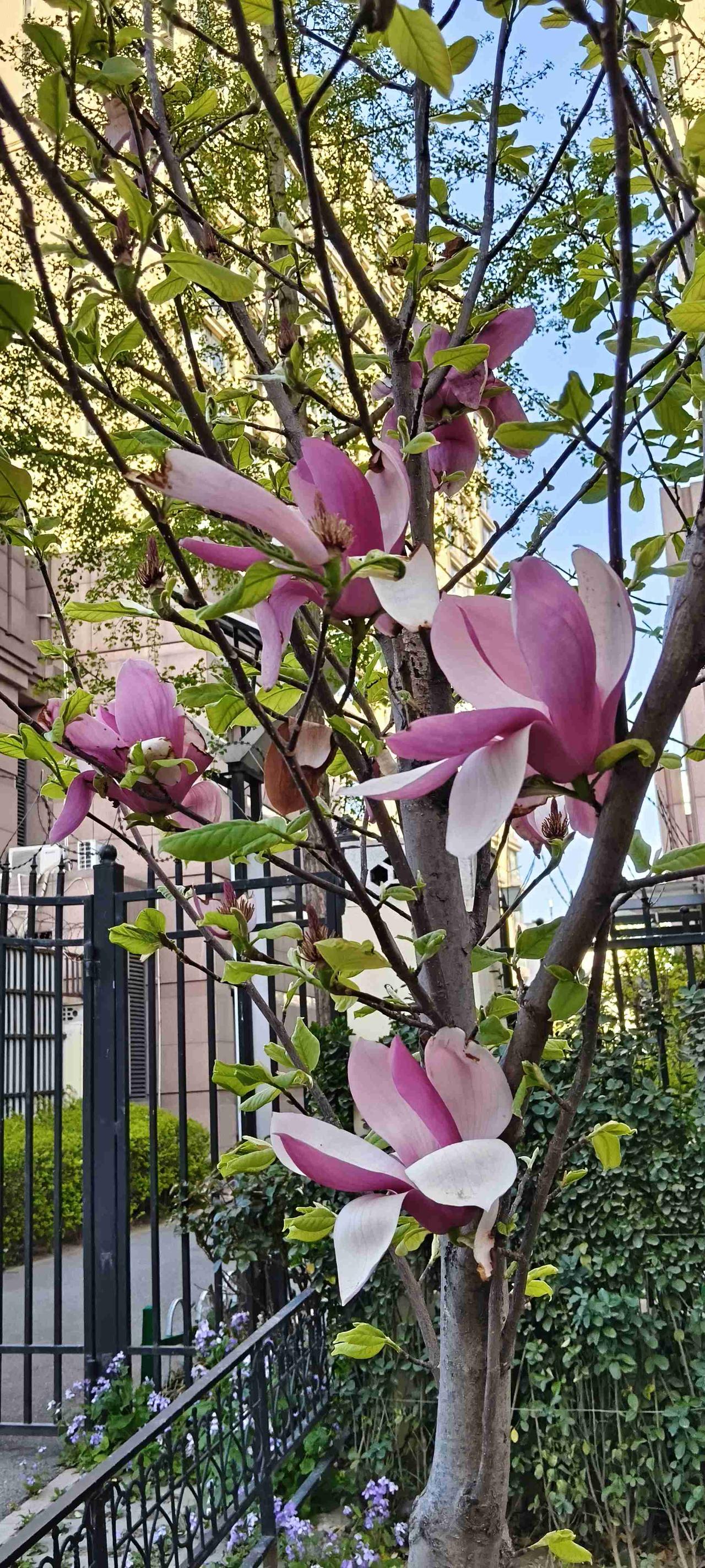 我的今日状态：😁轻松愉快
我这里的天气：☀️晴天