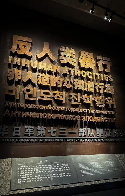 1938年，为了满足自己对女性生殖构造的好奇心，一鬼子军医让人把一女人使劲儿摁倒