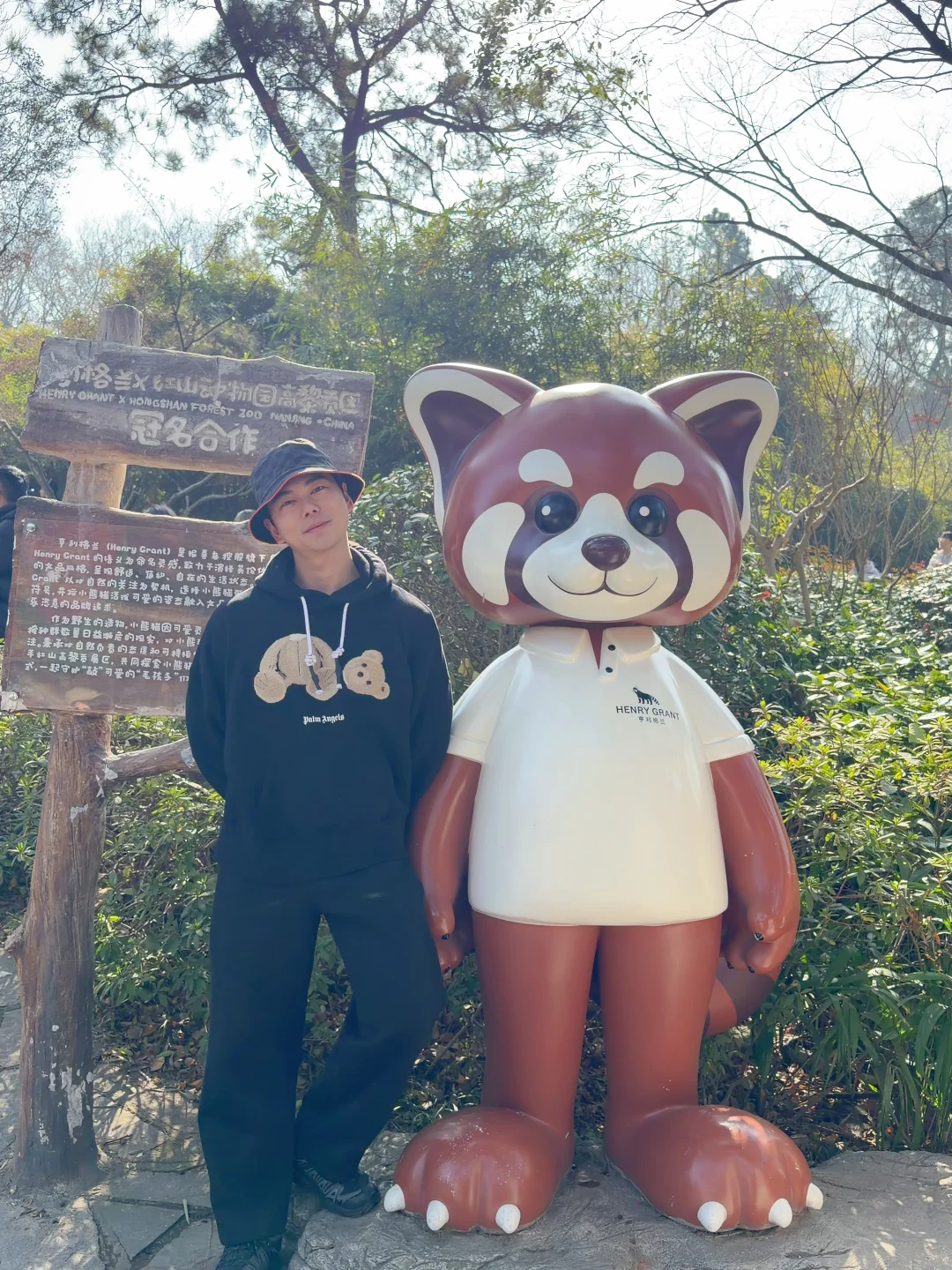 真的喜欢南京🐻