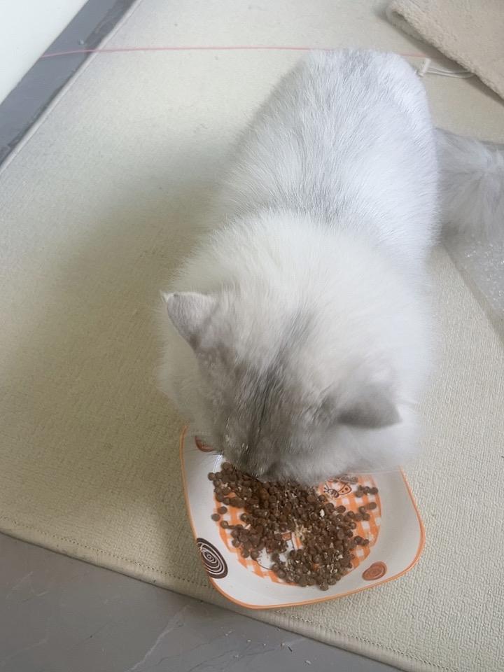 每天分享一点人生感悟