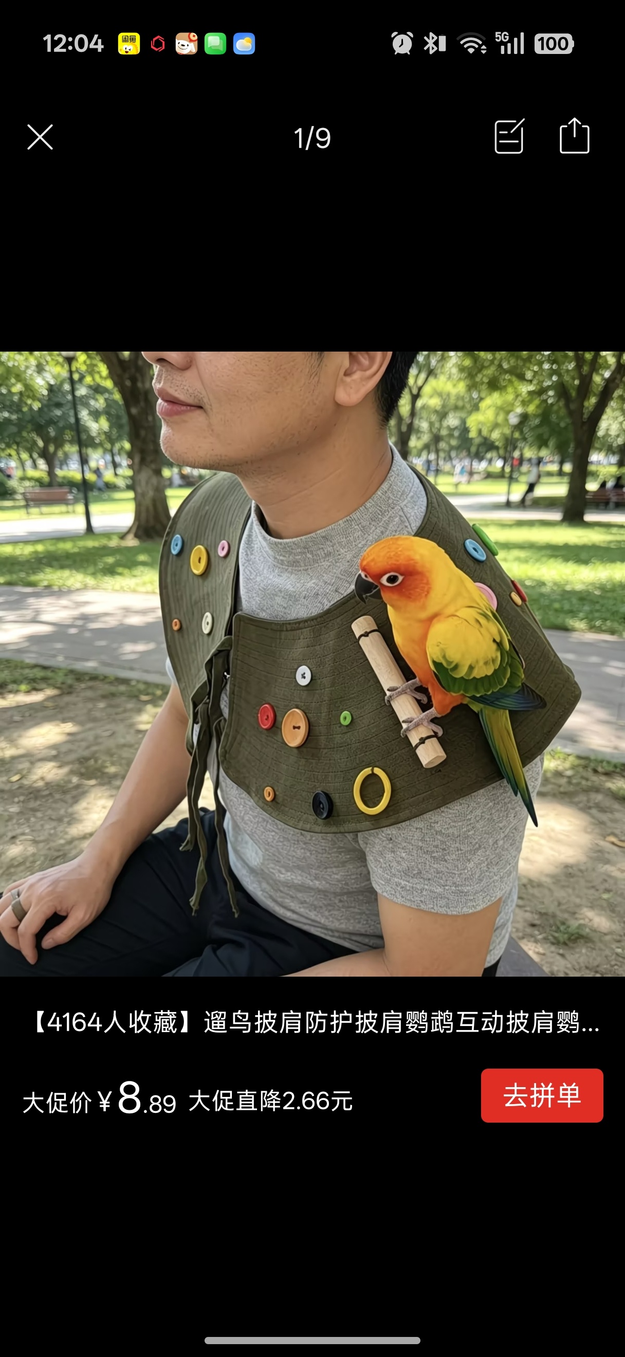 擦，这不扛大包的垫肩吗？想出用这个改造一下给鹦鹉用，也是个人才 