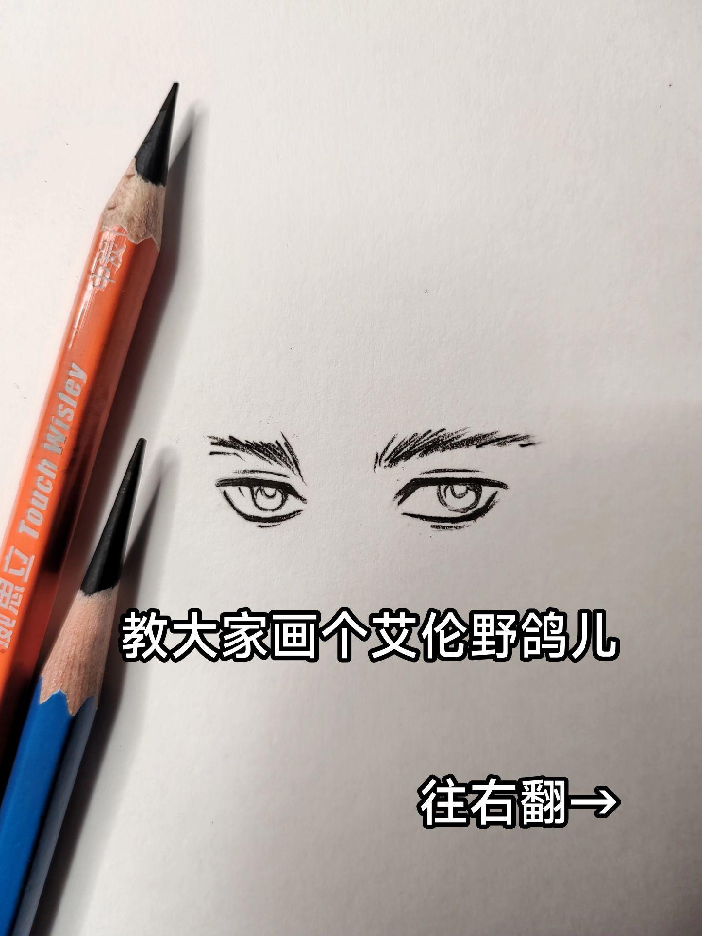 艾伦野鸽儿… 抽象 绘画工具：威思立炭笔