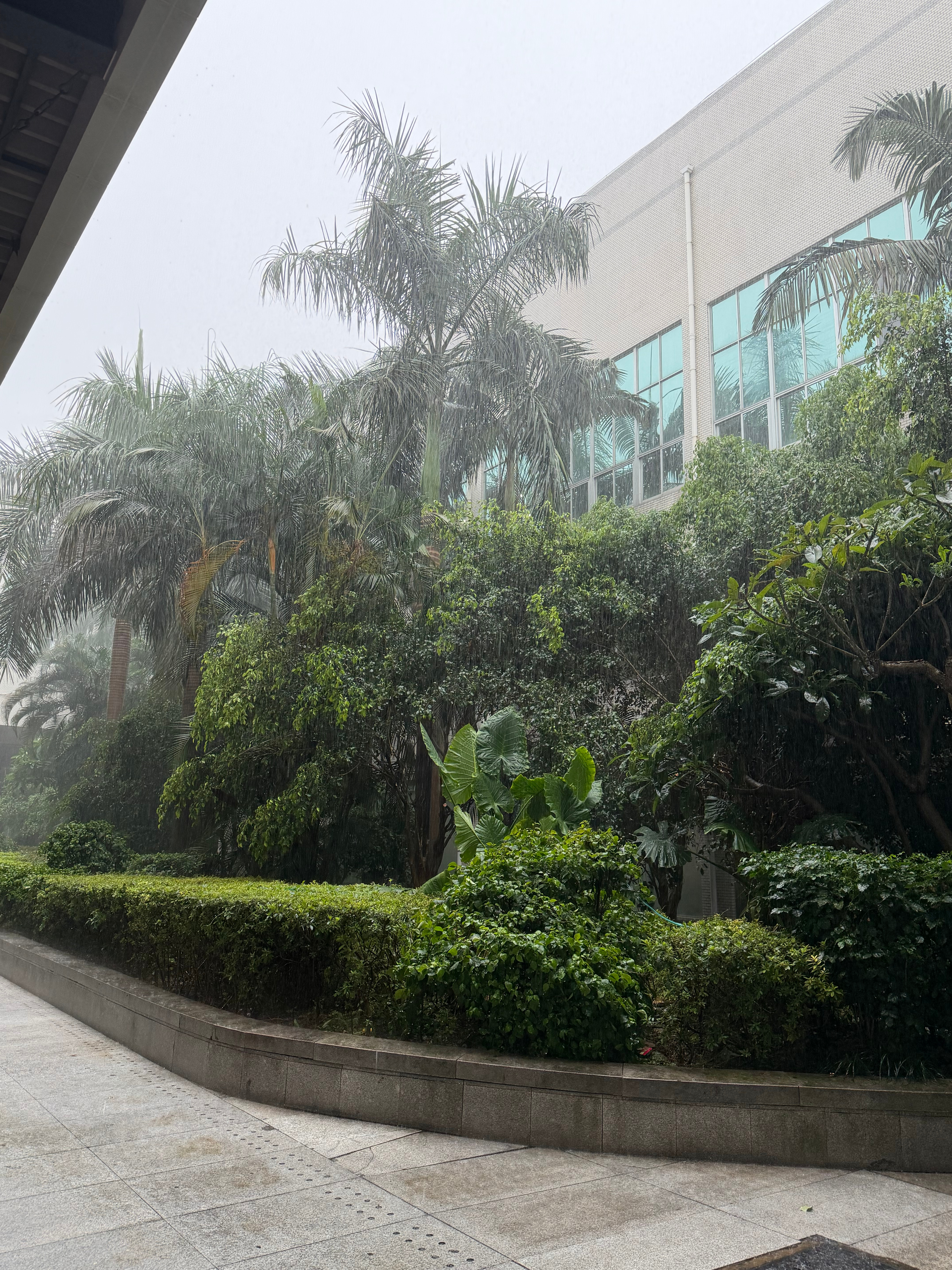 一穿拖地裤和洞洞鞋 大暴雨就追着我杀