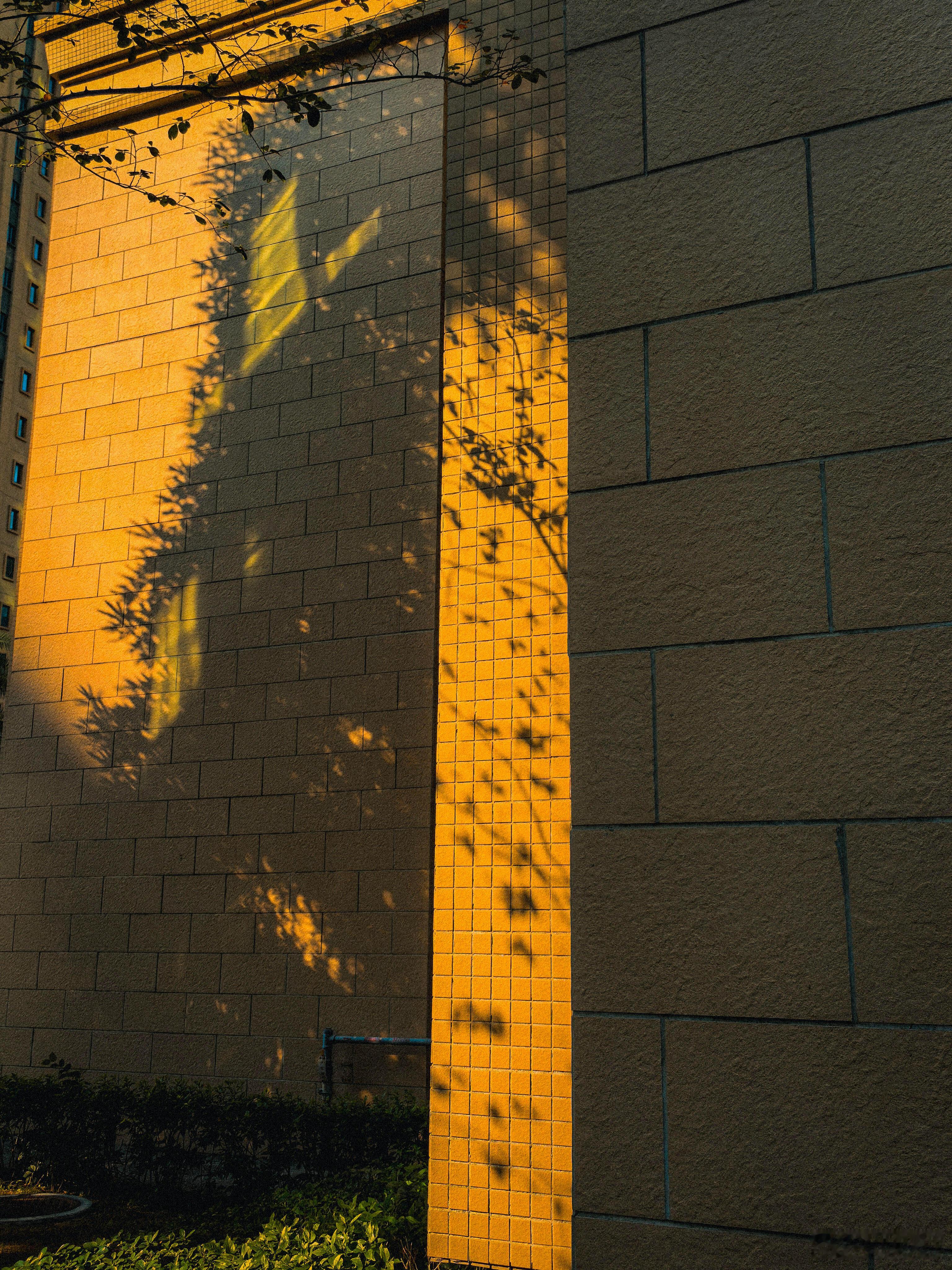 一个女人最掉价的行为，就是揭穿了男人之后，又舍不得离开他。自家的狗咬人了，要么打