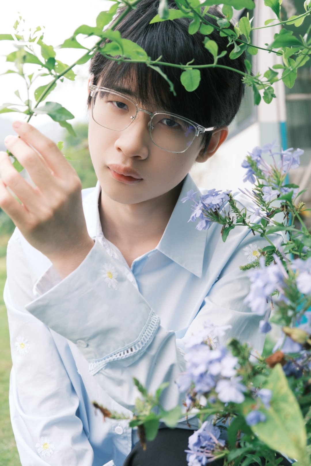 狼崽的晴日与旧时光重庆狼队夏日记暖阳、晚风与少年，拼凑属于狼崽的温柔旧时光 