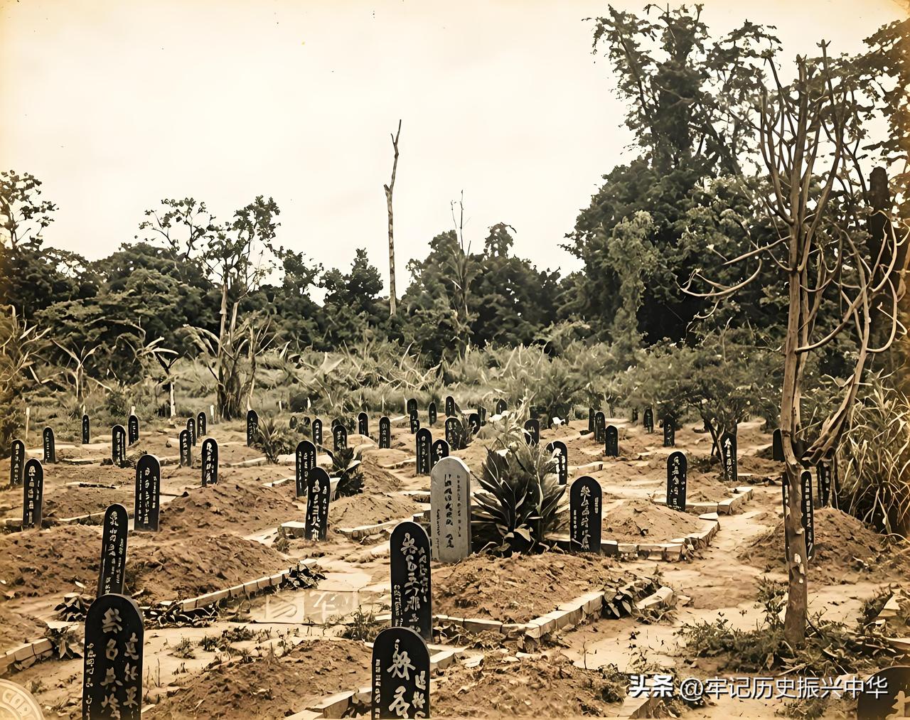 1942年中国远征军第一次入缅作战，最高指挥官由杜聿明担任，远征军总共投入人数1