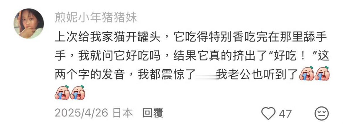 不敢对猫乱说话了猫咪真的听得懂人话，我嫌弃它它马上就生气了，我甚至只是很平淡地说