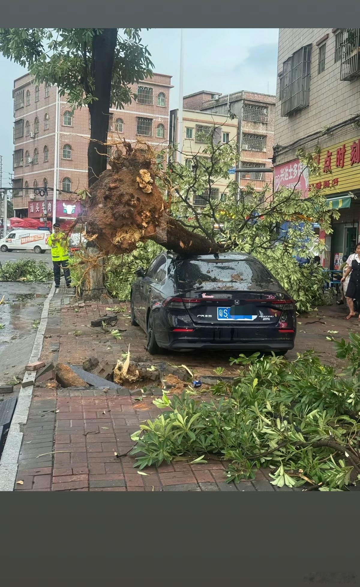 台风红霞 台风天出行提醒台风红霞登陆广东！风雨来袭，大家尽量减少外出，远离广告牌