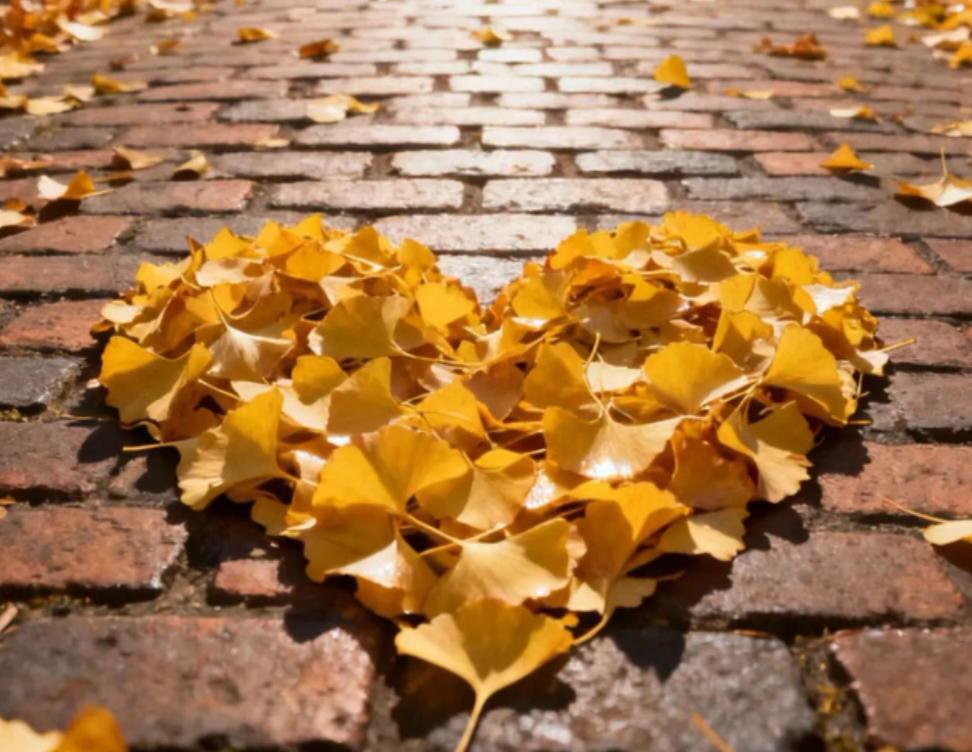 喜欢海德格尔的一句话：“人应该诗意的栖居。”这句话源自德国诗人荷尔德林的诗歌，原