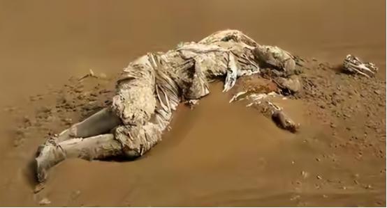 回顾：罗布泊惊现干尸，警方破案后大惊：竟是失踪58年的功臣！

久无人烟的沙漠里