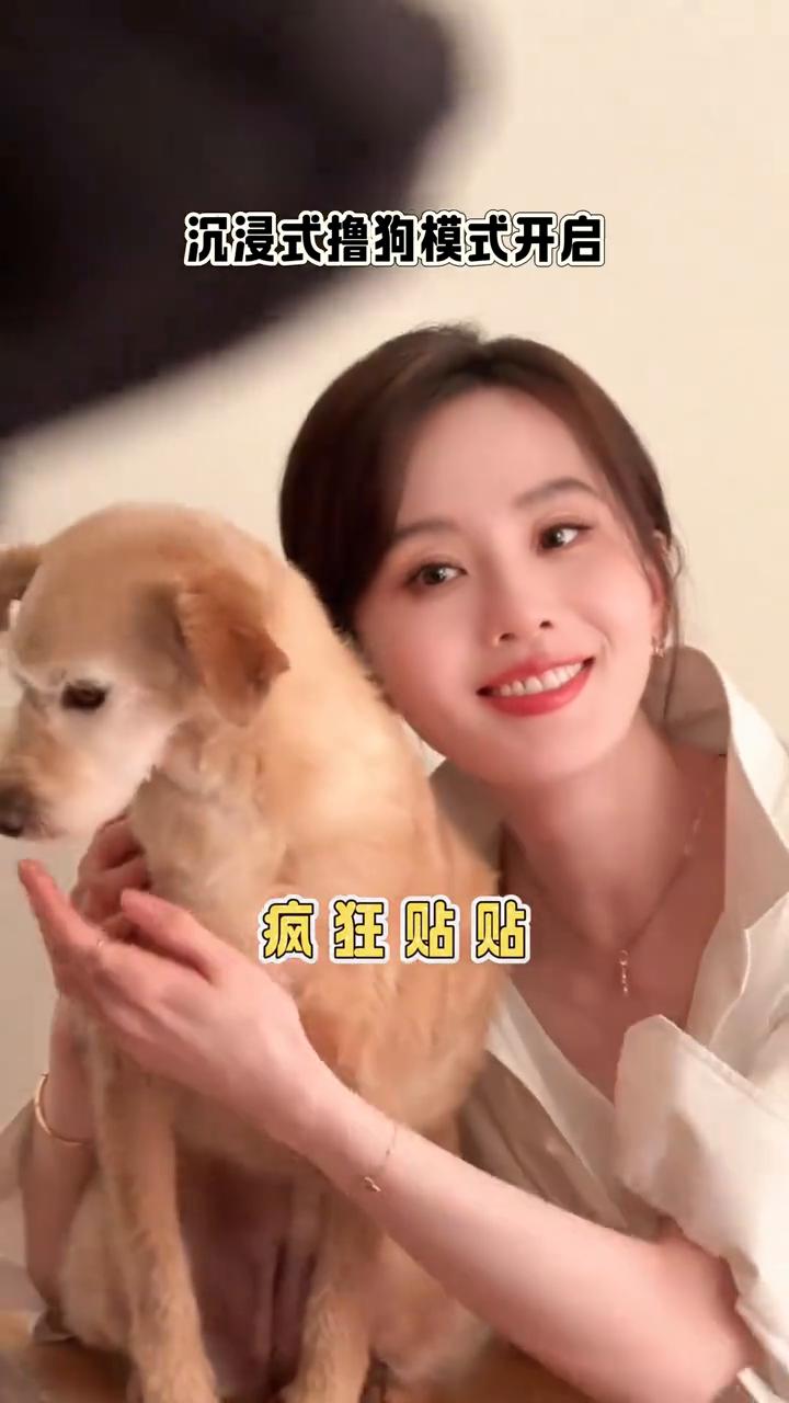 宝宝有情绪了。
今日任务：认真哄小狗。沉浸式撸狗模式开启。疯狂贴贴，牵手手，轻轻
