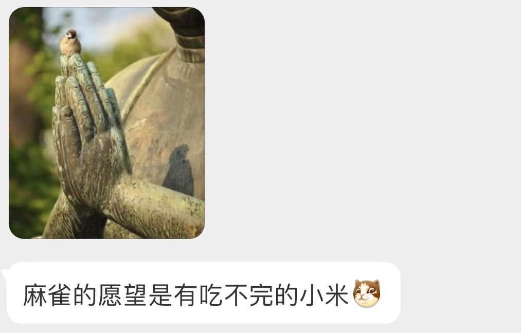 这只麻雀好会找地方啊！ ​​​