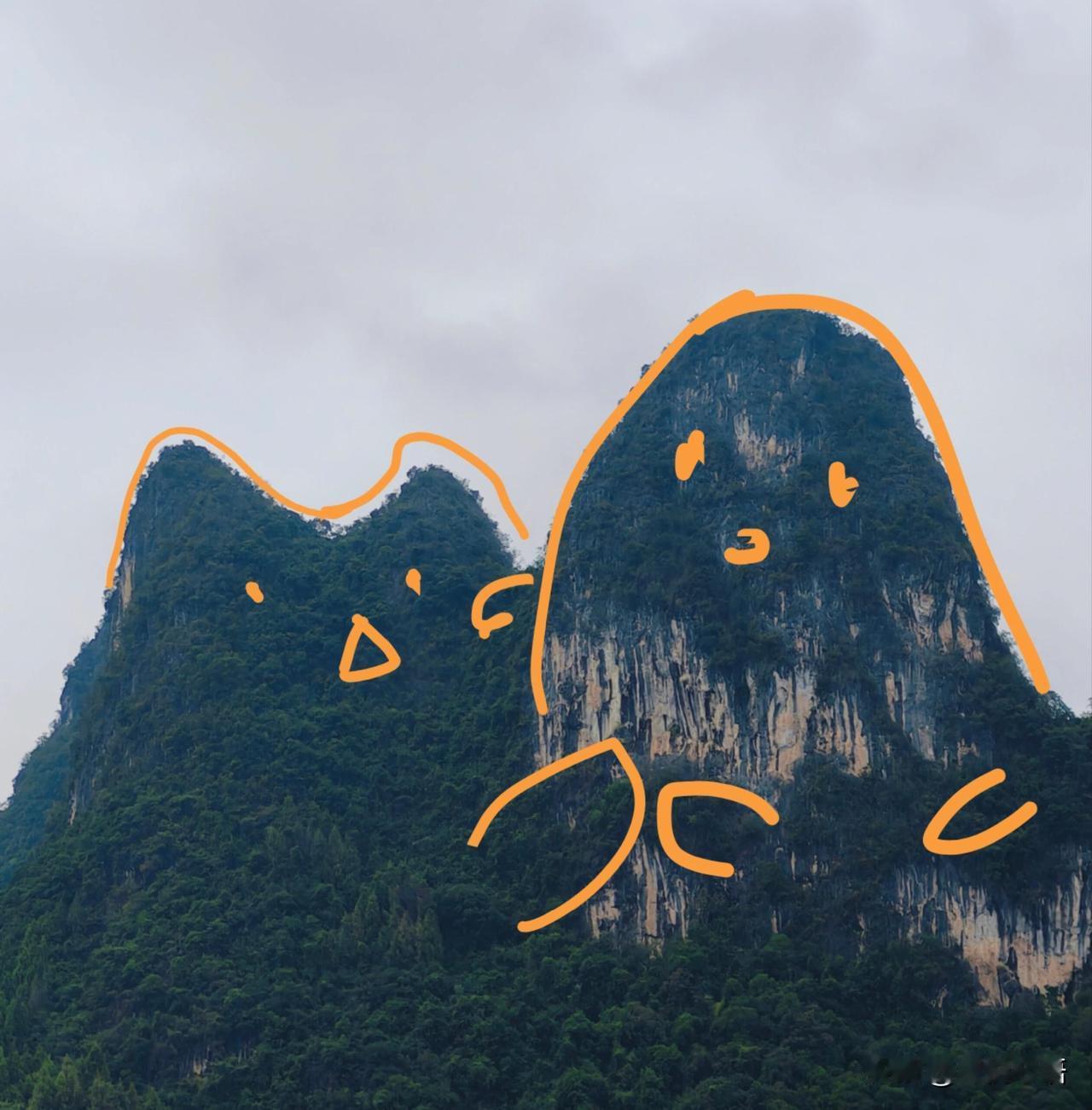 桂林山水喵天下！
这组合谁能拒绝啊！
桂林的山水+猫咪，治愈感直接拉满！

都说