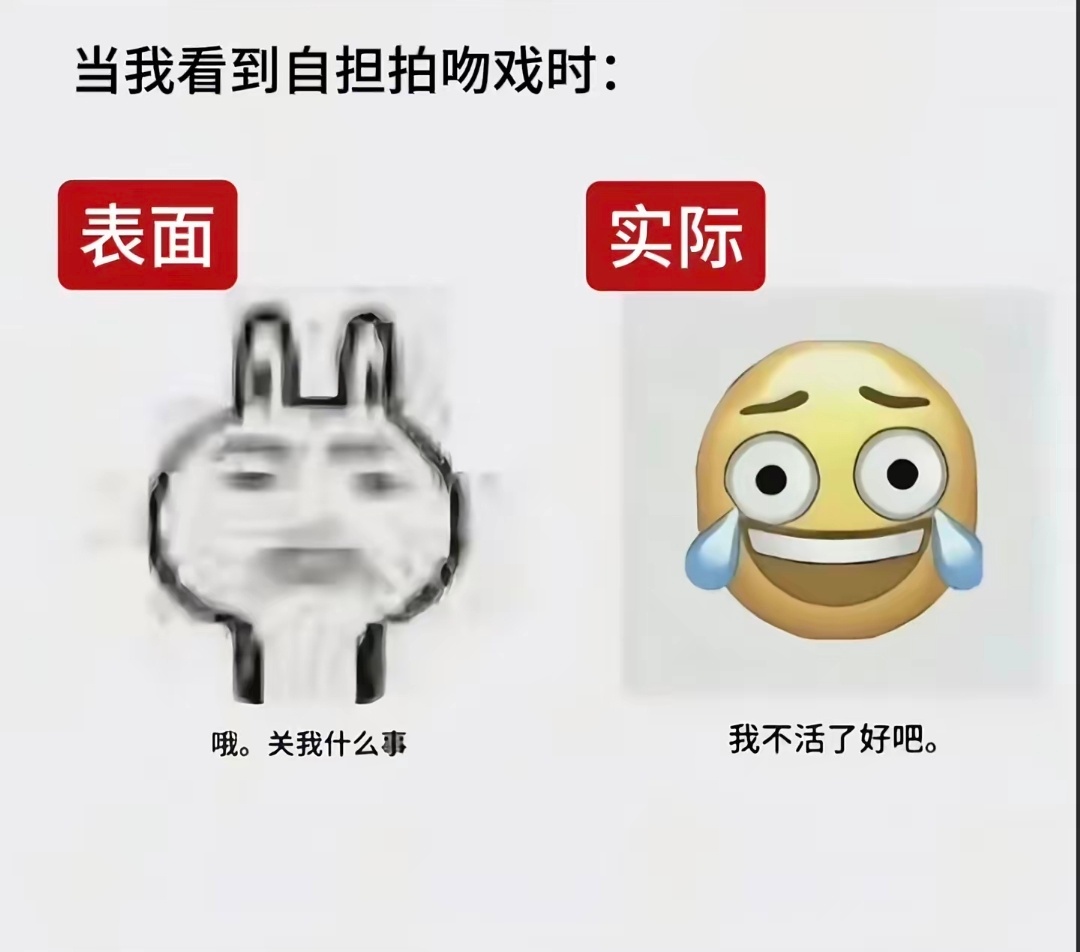每次刷到吻戏的我