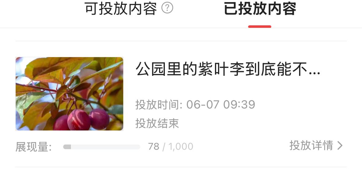连加油包也拯救不了的展现量！

加油包数量非常有限，使用加油包的机会也非常有限。