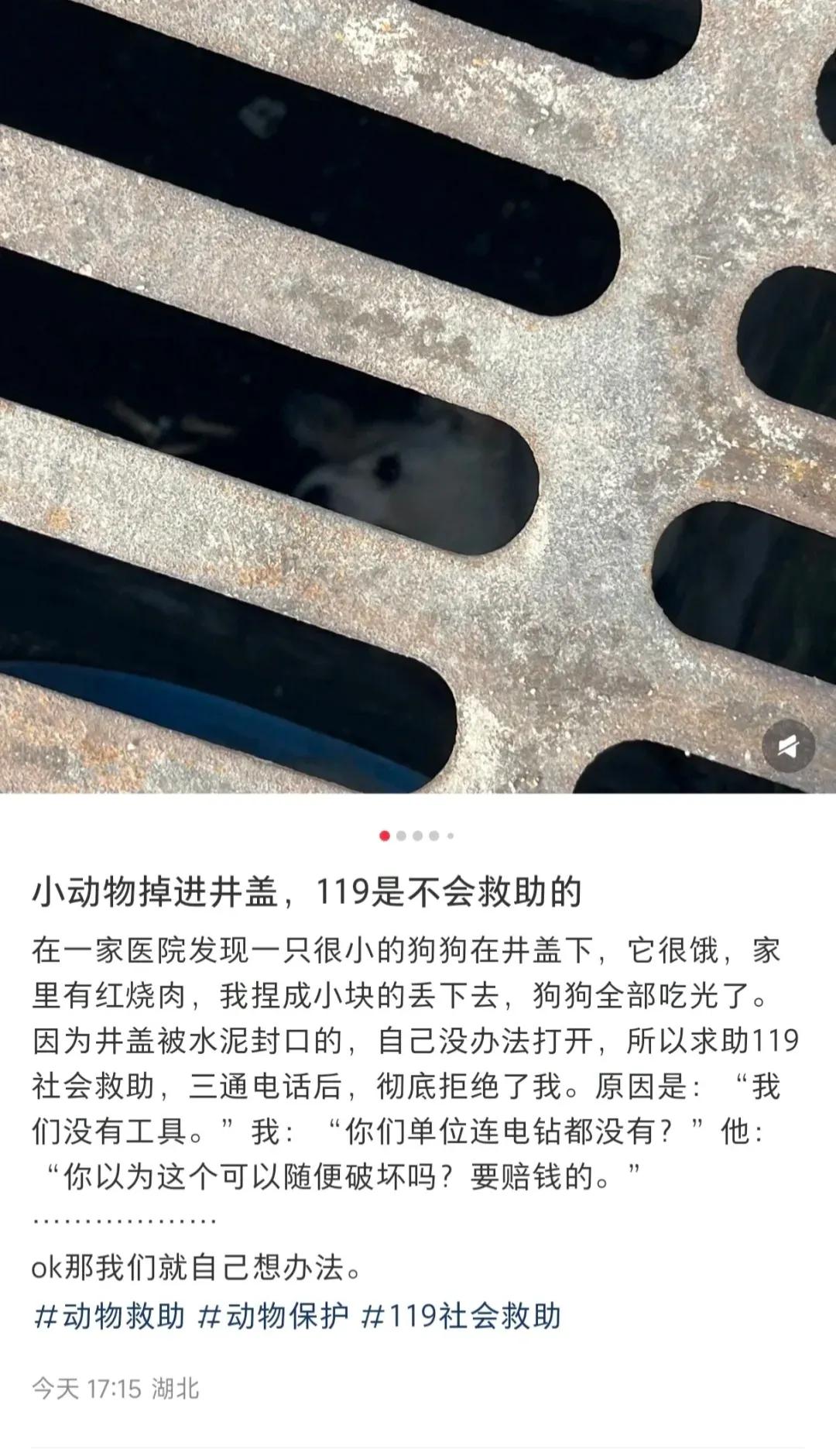 消防员除了必须救人以外还必须救狗吗？
这个人的帖子里一股阴阳怪气的味道，119拒