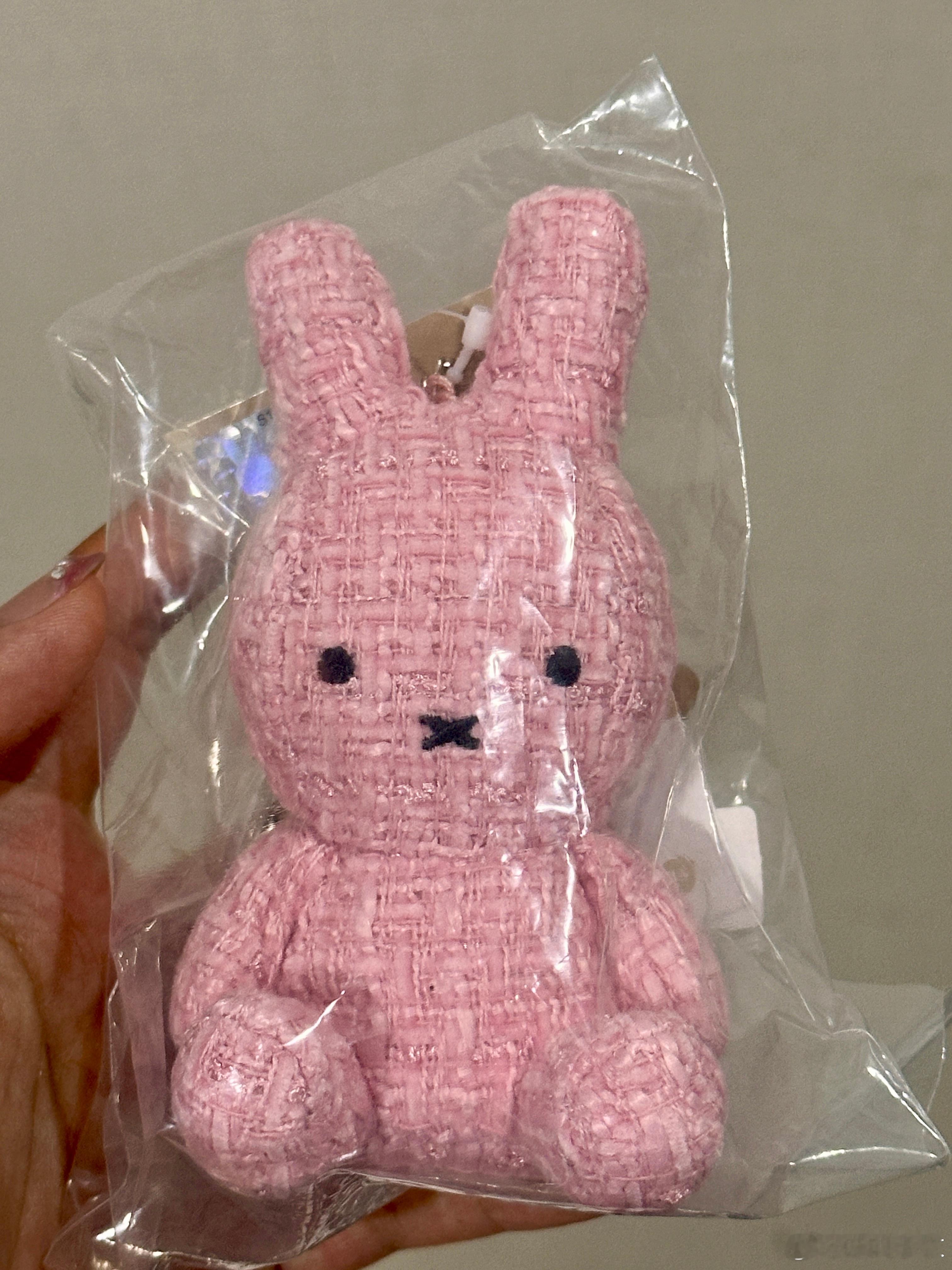 此次行程最正确的决定是把酒店订在了明洞校园v计划日常大学生喜爱内容共创计划 韩国