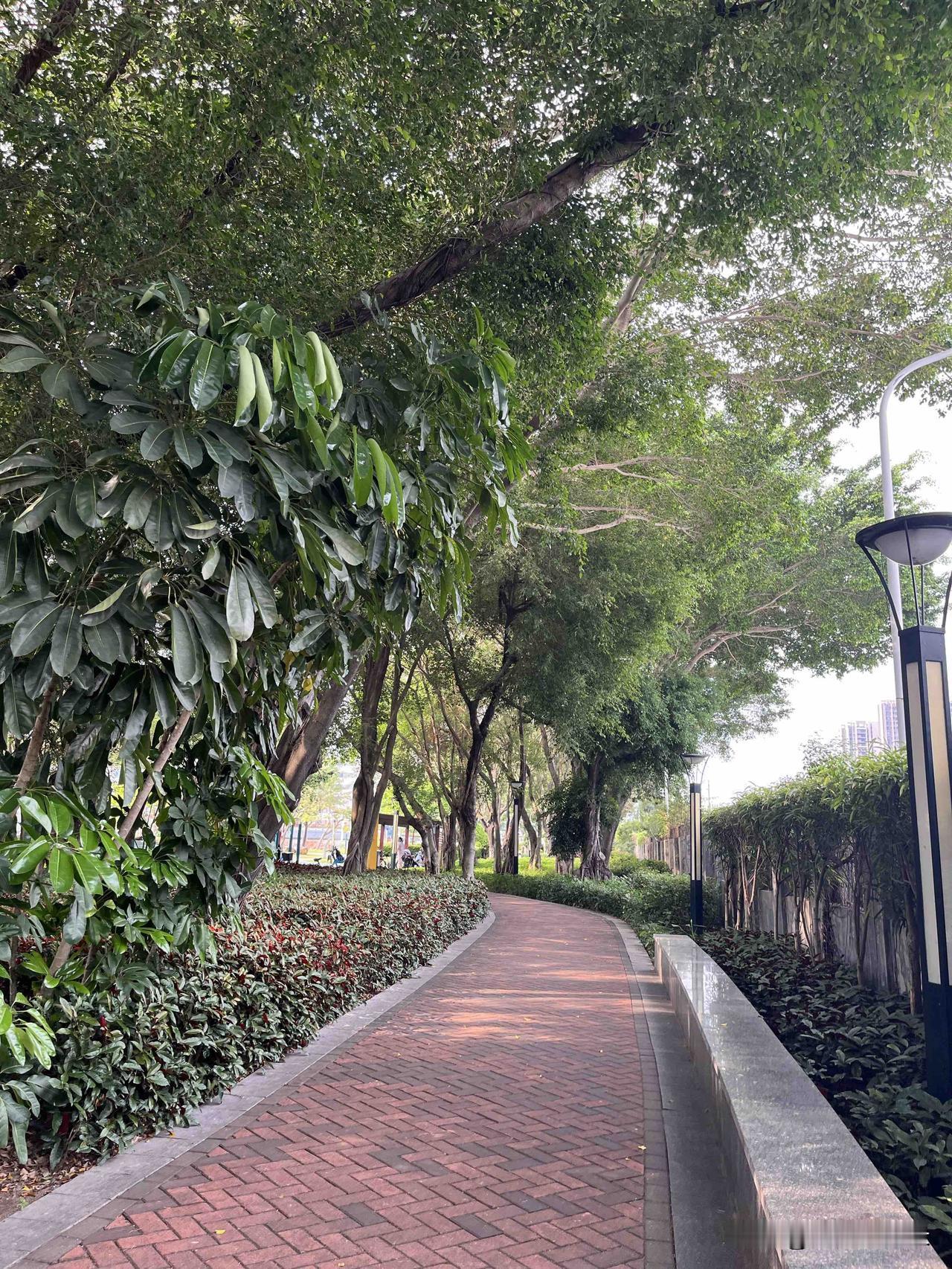 资治通鉴：想要运气好，一定要记住：

永远闭嘴，对任何人都要如此

我前公司有个