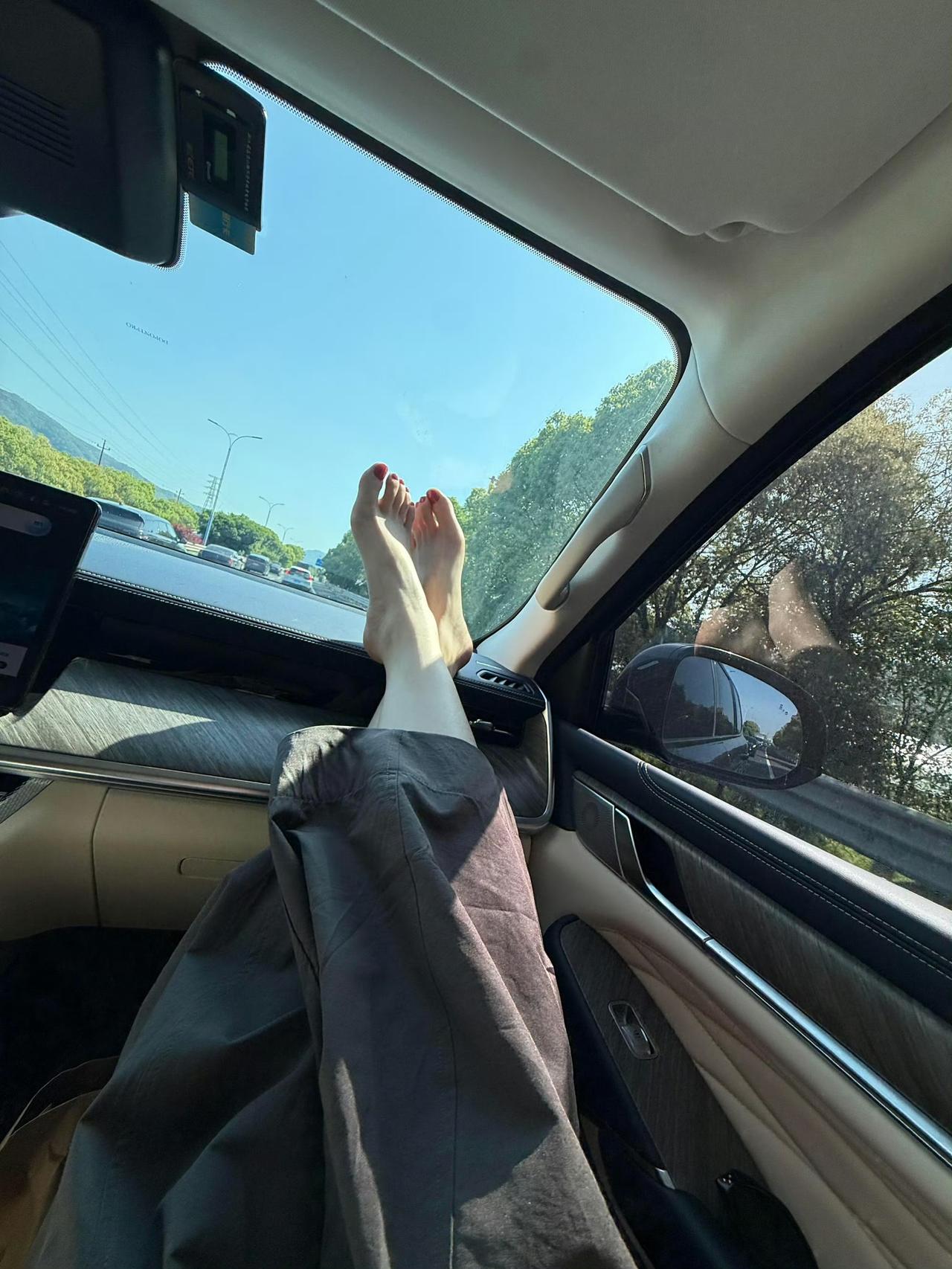 渐渐的，好像很多人和事都祛了魅。只有眼前的，无声而平静流淌的时问，成了心之所向。