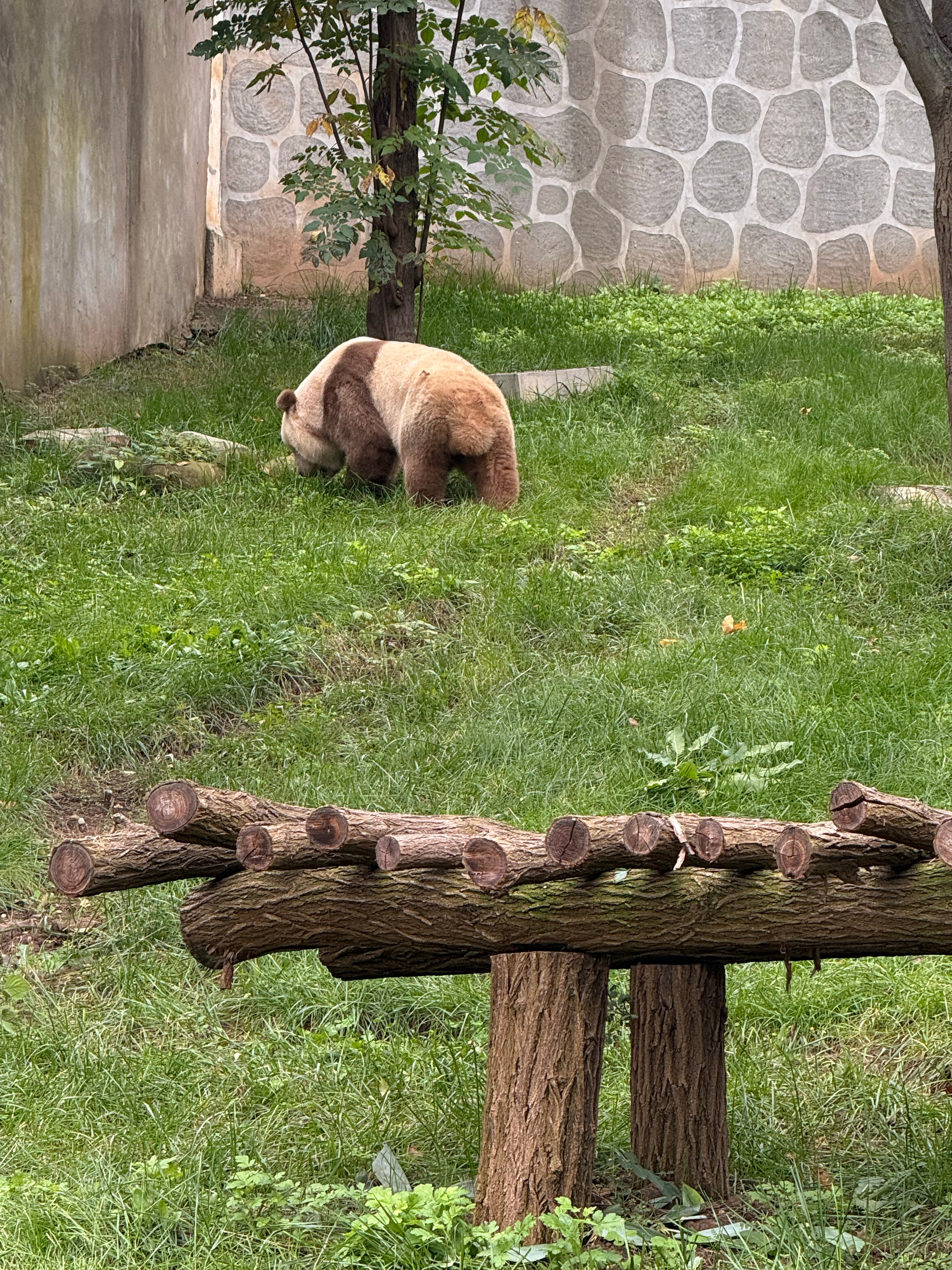 七仔[抱一抱] ​​​