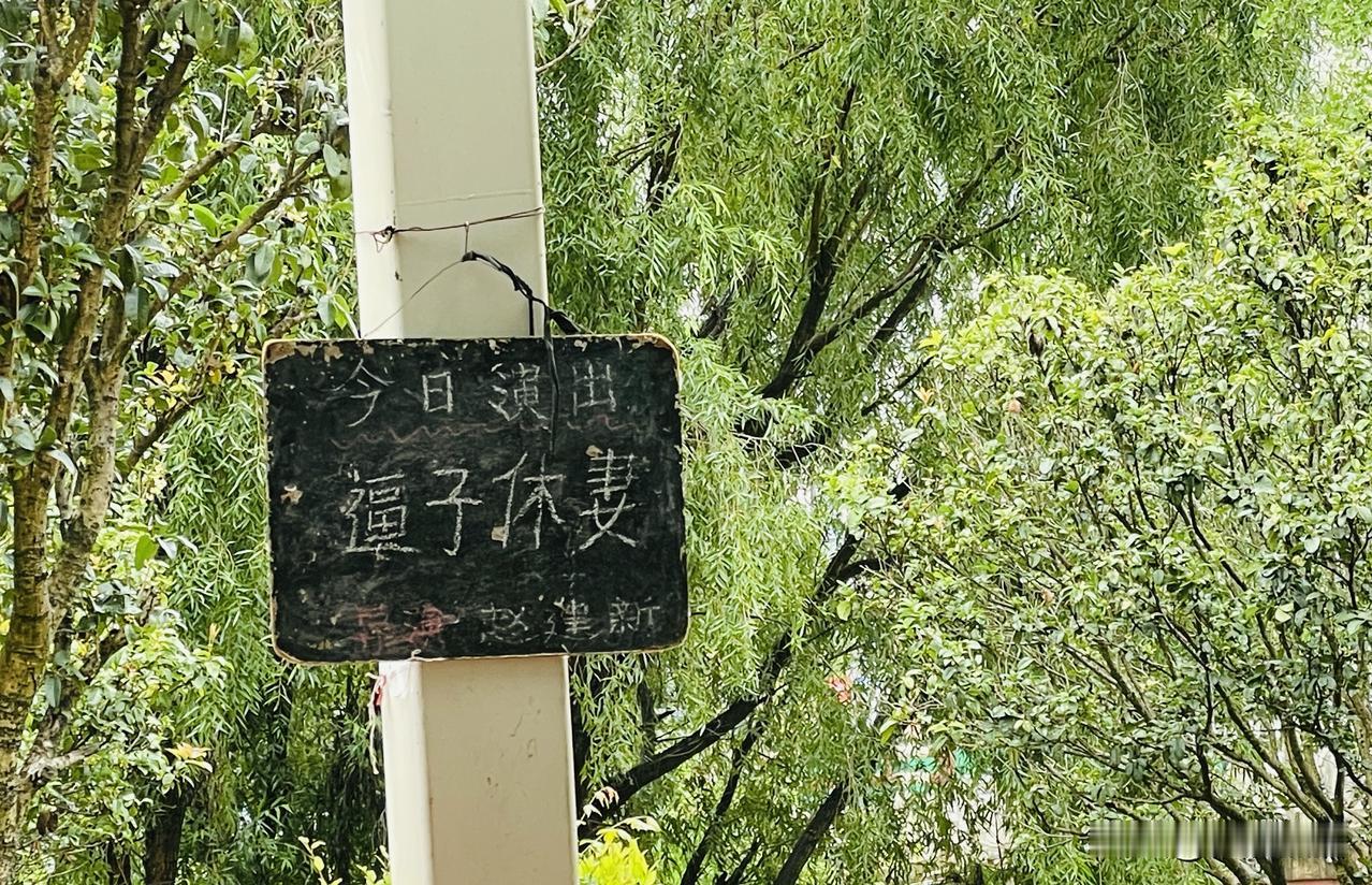 昆明滇池附近的盘龙江边，偶遇一场滇剧。
剧目是《逼子休妻》。故事梗概是：老夫人有