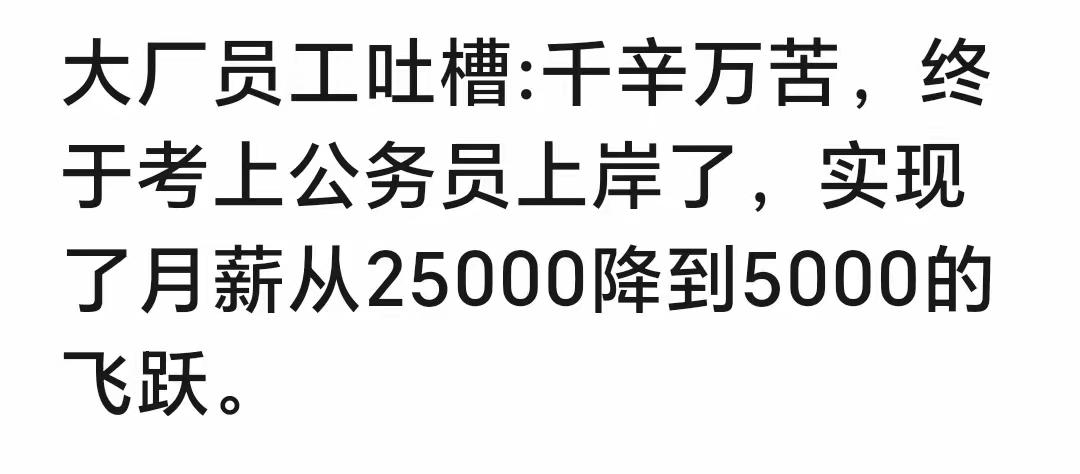 从大厂的两万五，到公编的五千，算不算“飞越”？

这事儿吧，得分地方，还得拉长了