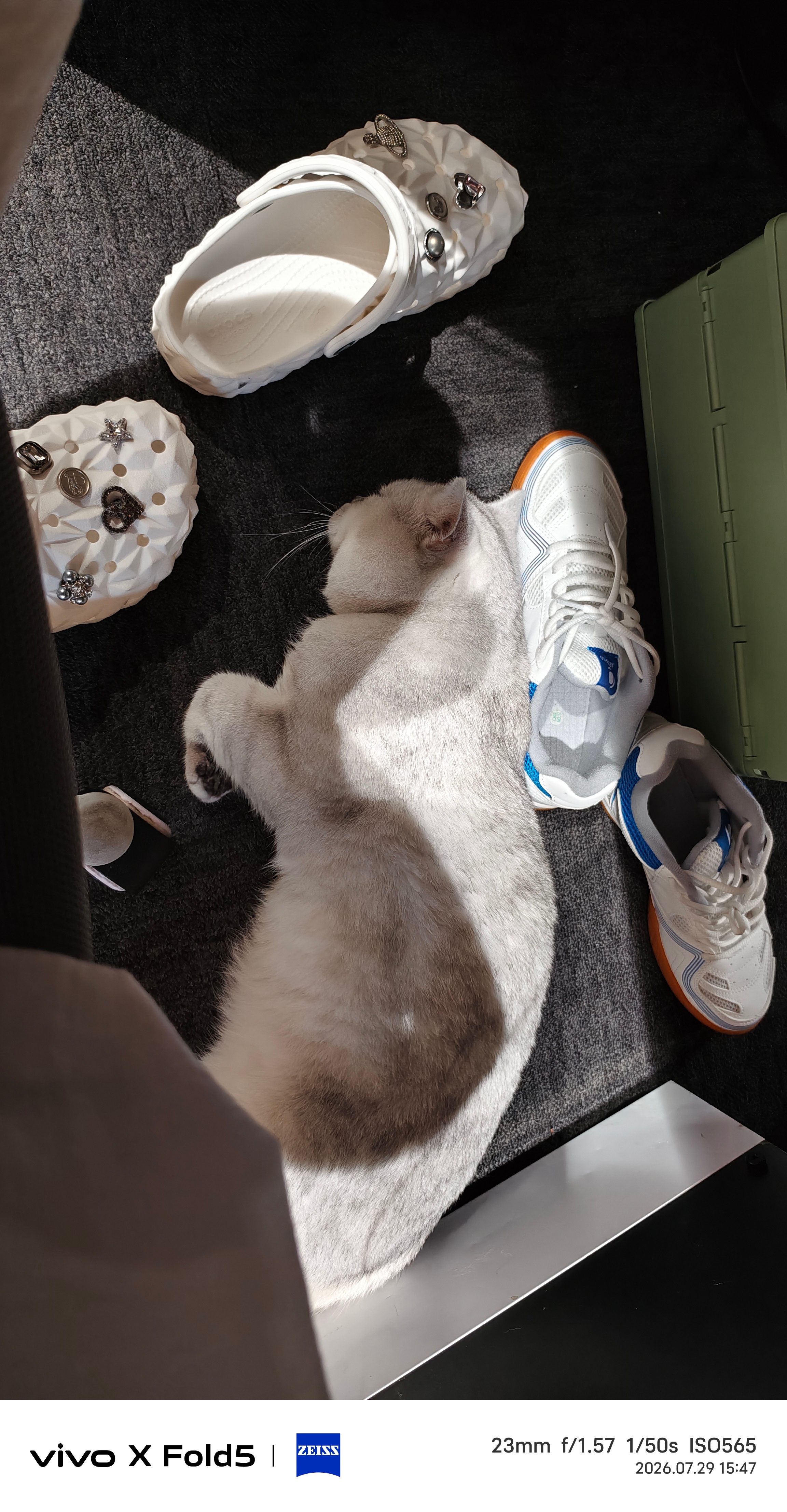 恋脚癖… 
