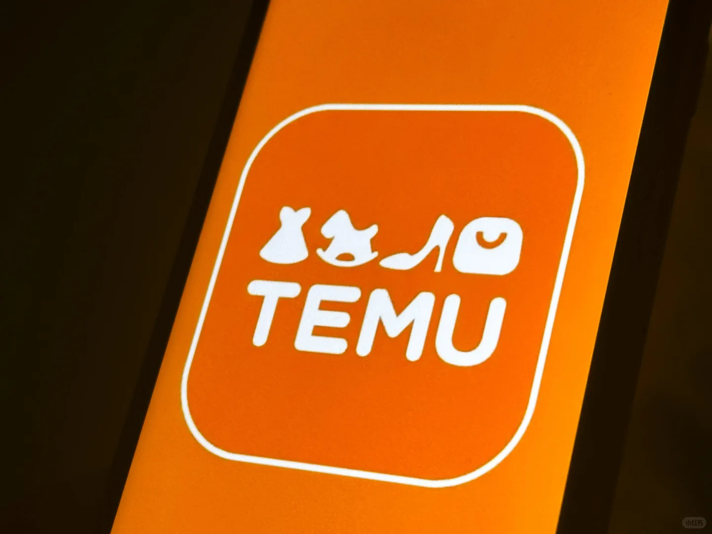 还是来了: 欧盟🇪🇺启动对Temu的正式程序