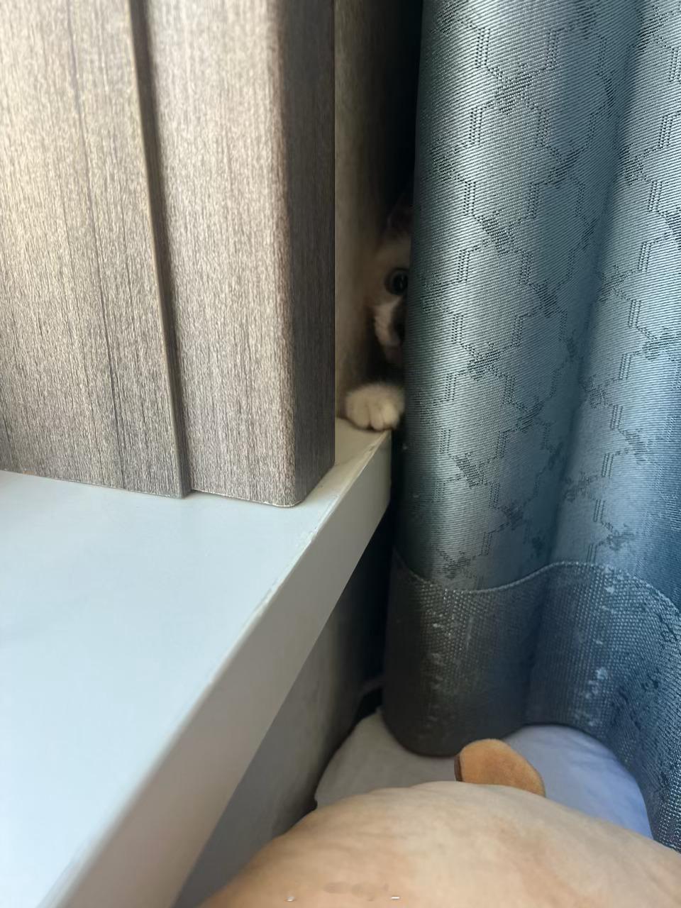 今日圈🌐 