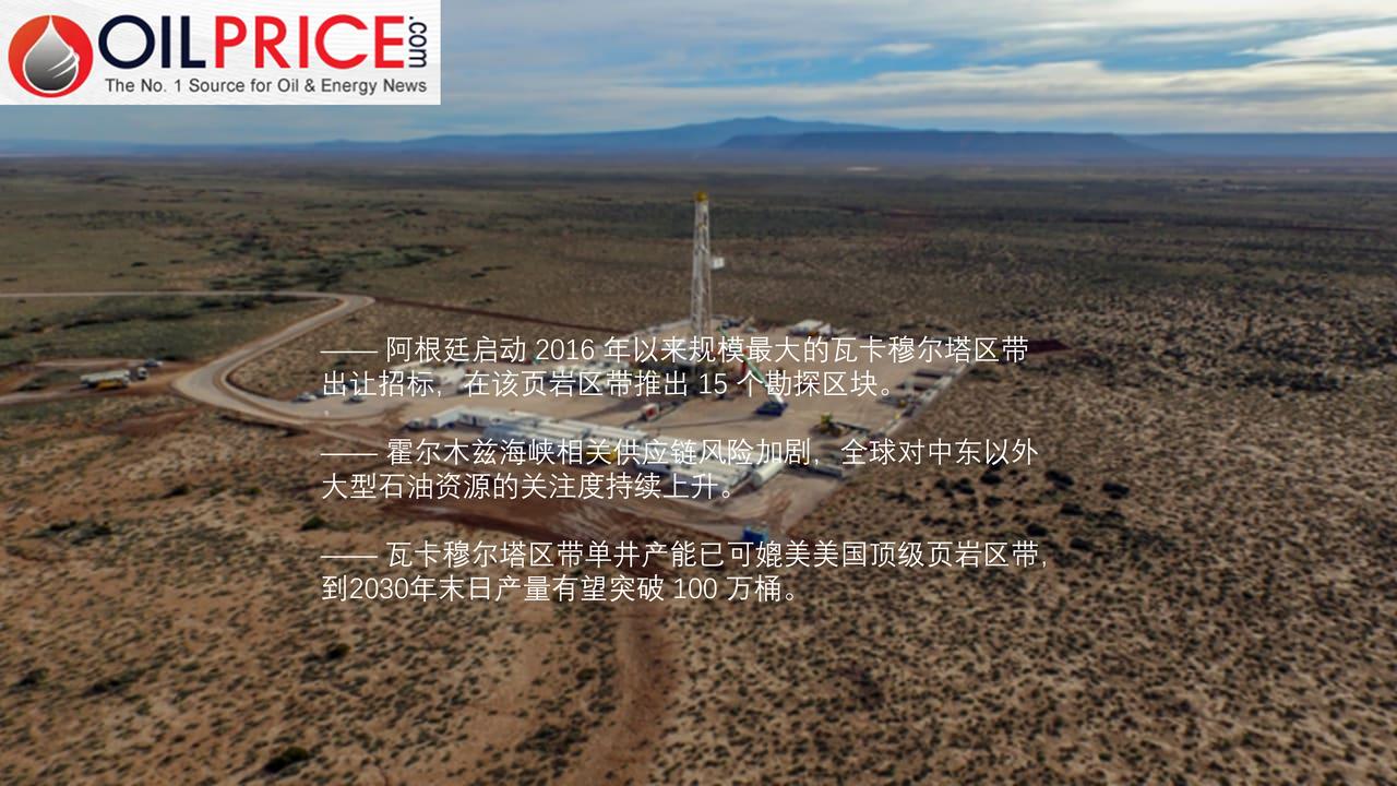 阿根廷瓦卡穆尔塔页岩区带崛起， 成规避中东石油供应风险首选替代地


中东冲突暴