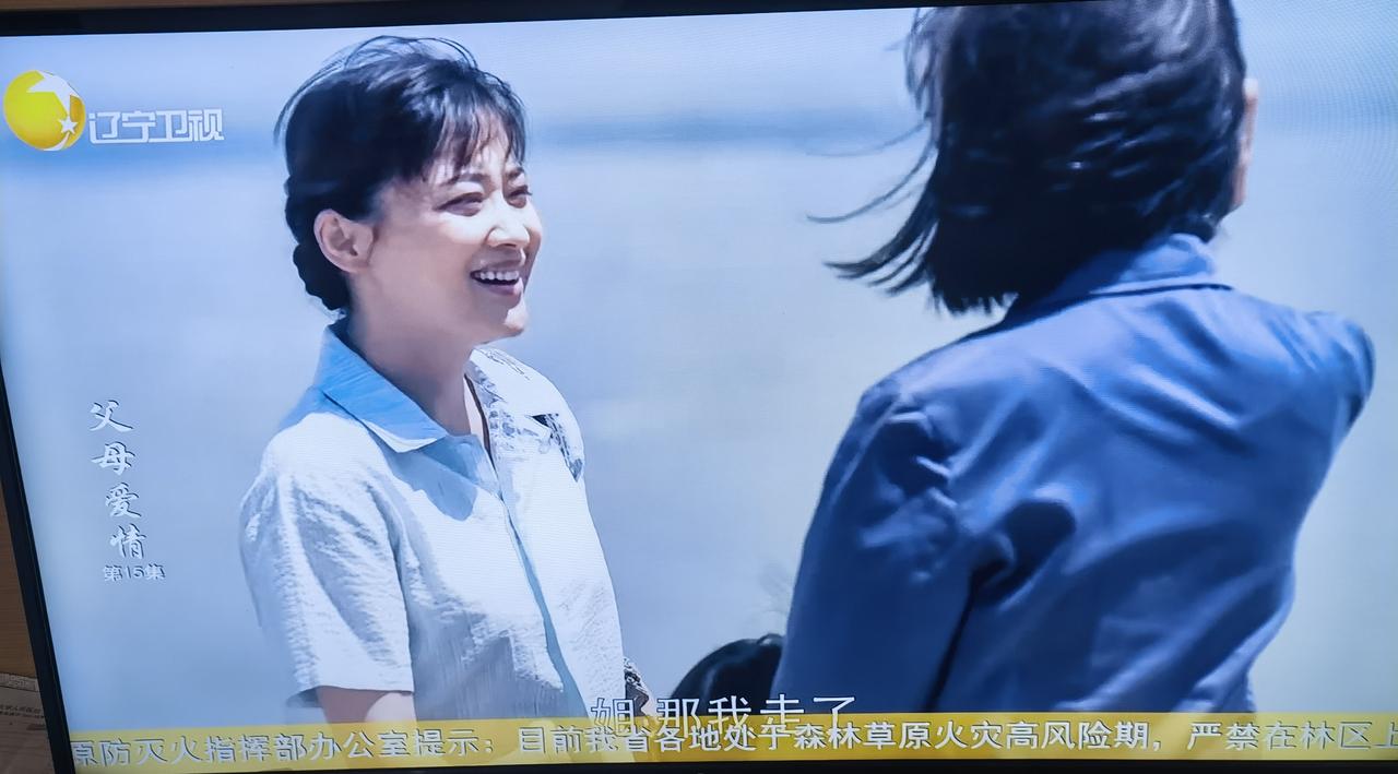 辽宁卫视又在播《父母爱情》，这个电视剧真令人百看不厌，耐人寻味，我看了好多回了，