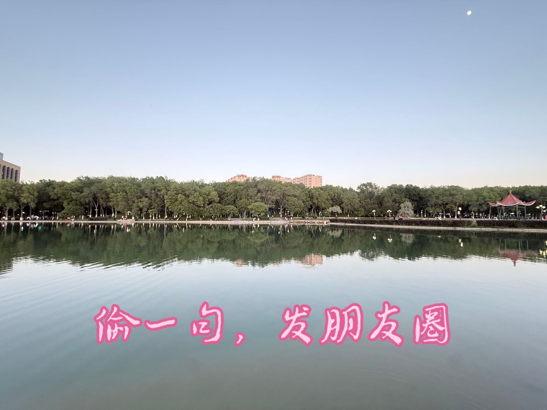 🦋1、🍉ℒ𝒾𝒻𝑒 ✨°。🌿₊°!!!“人生得意须尽欢，奈何仙女要上班