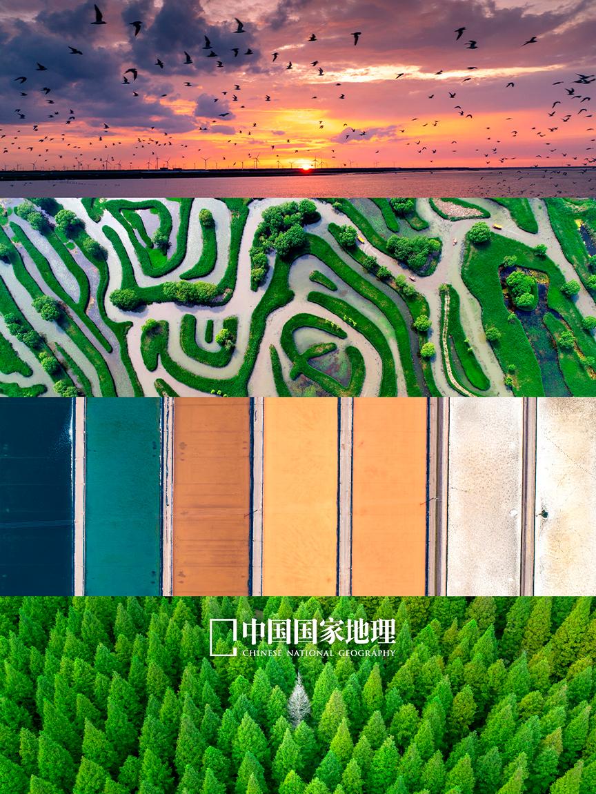中国这座没有山的城市，被严重低估了！。🦌江苏盐城，全市域范围内没有一...
