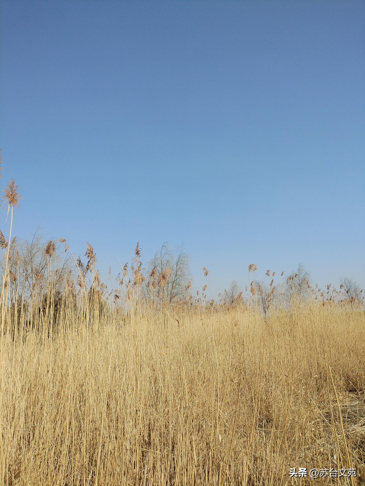 时过境迁，别困在过去